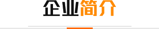 企業簡介